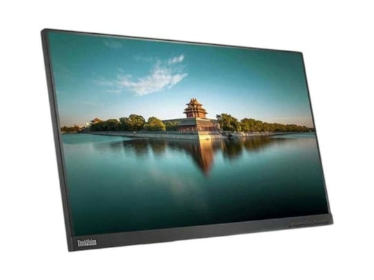Lenovo ThinkVision T24i-10 (without stand) - 1442344 #1