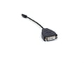 Lenovo Mini DP to DVI M/M - 1720044 thumb #1