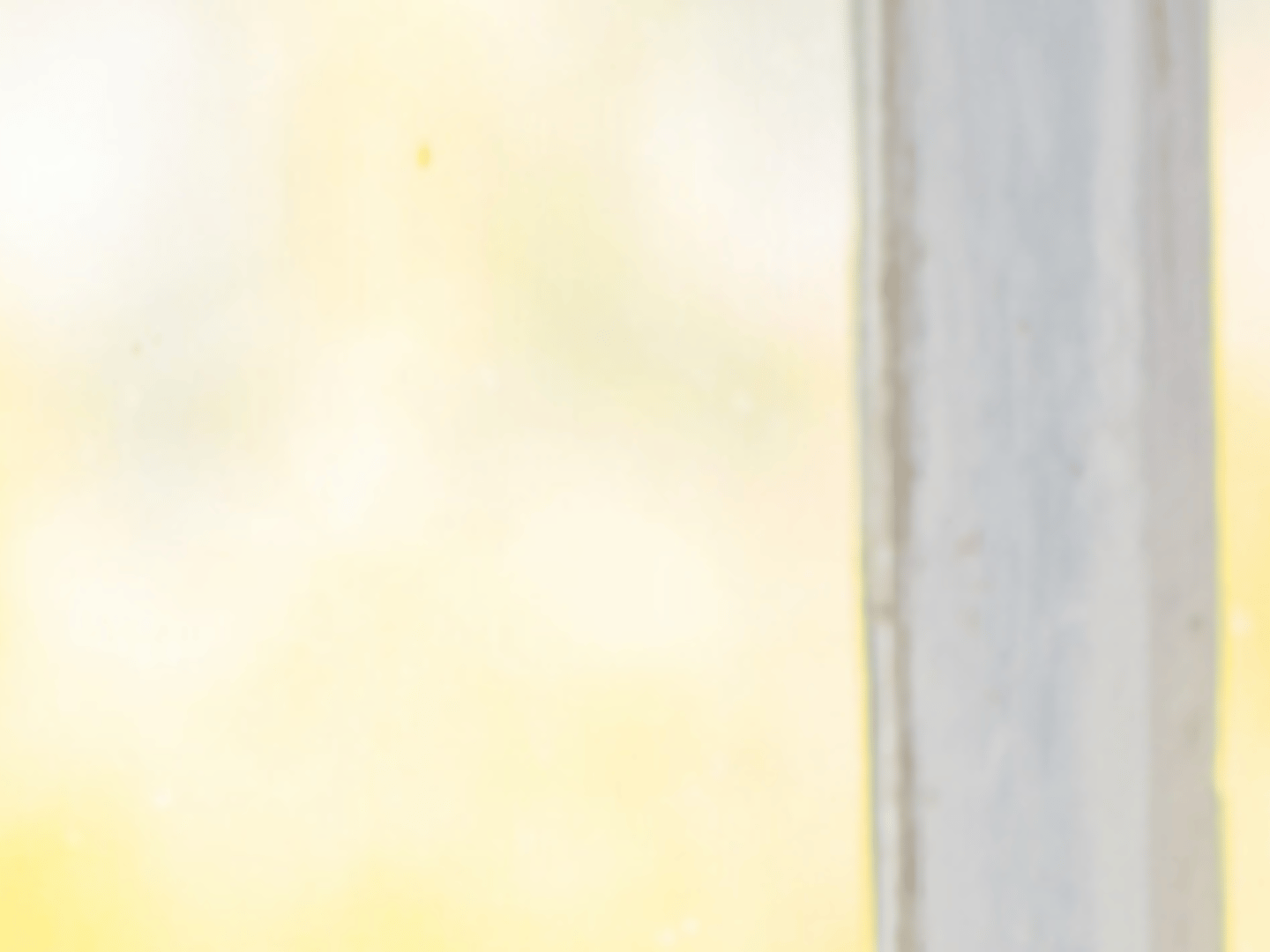 Guild Mortgage - Shana Hughes