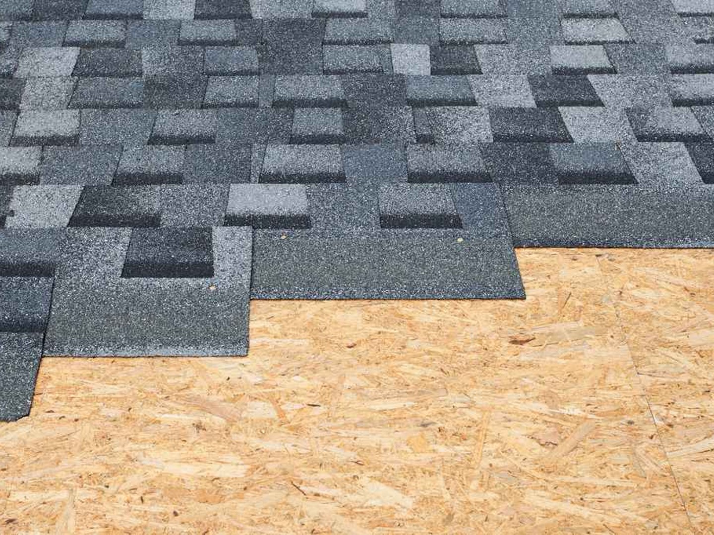 Proximity Nova gallery image