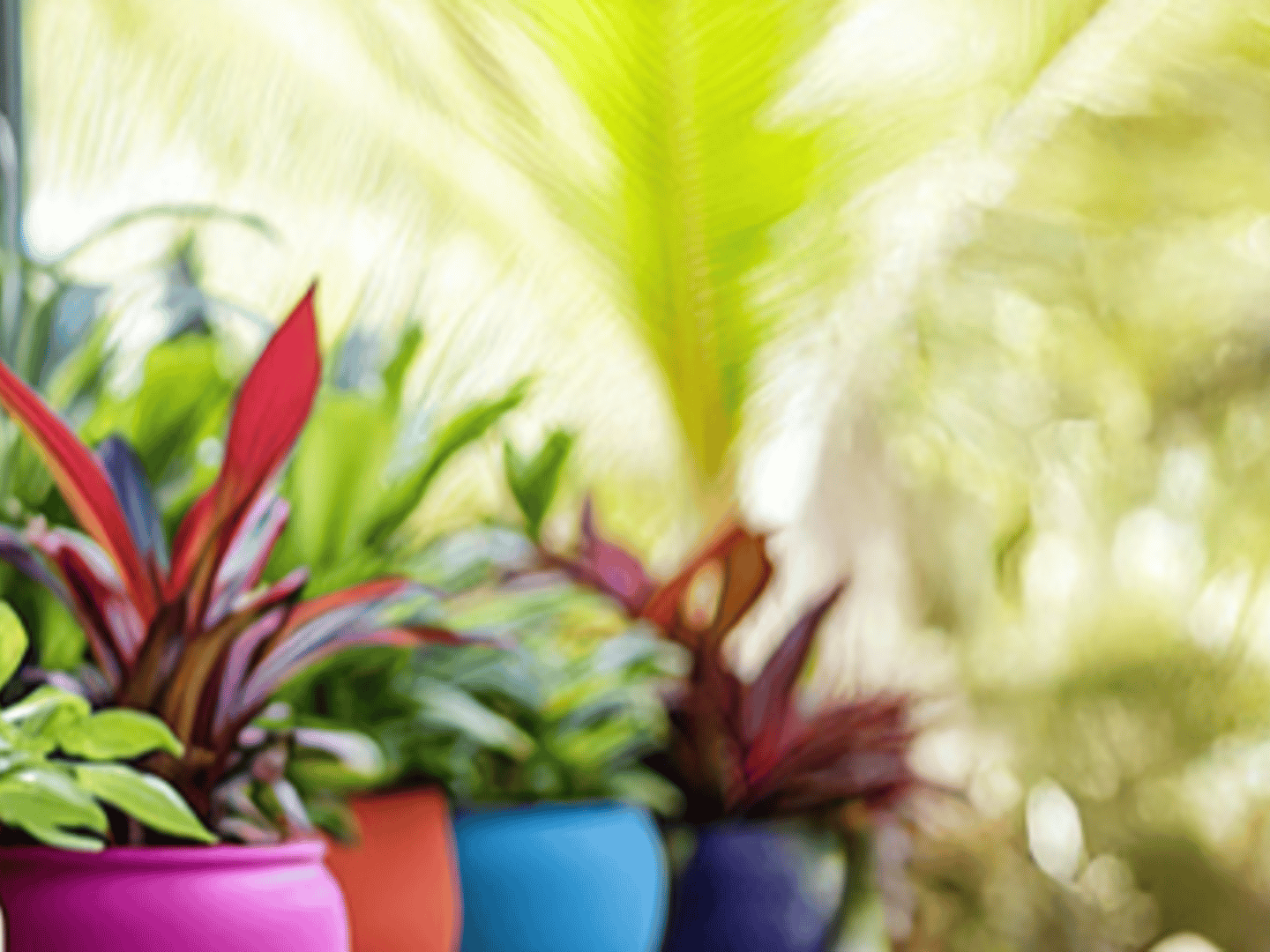 Guild Mortgage - Mark Skeen