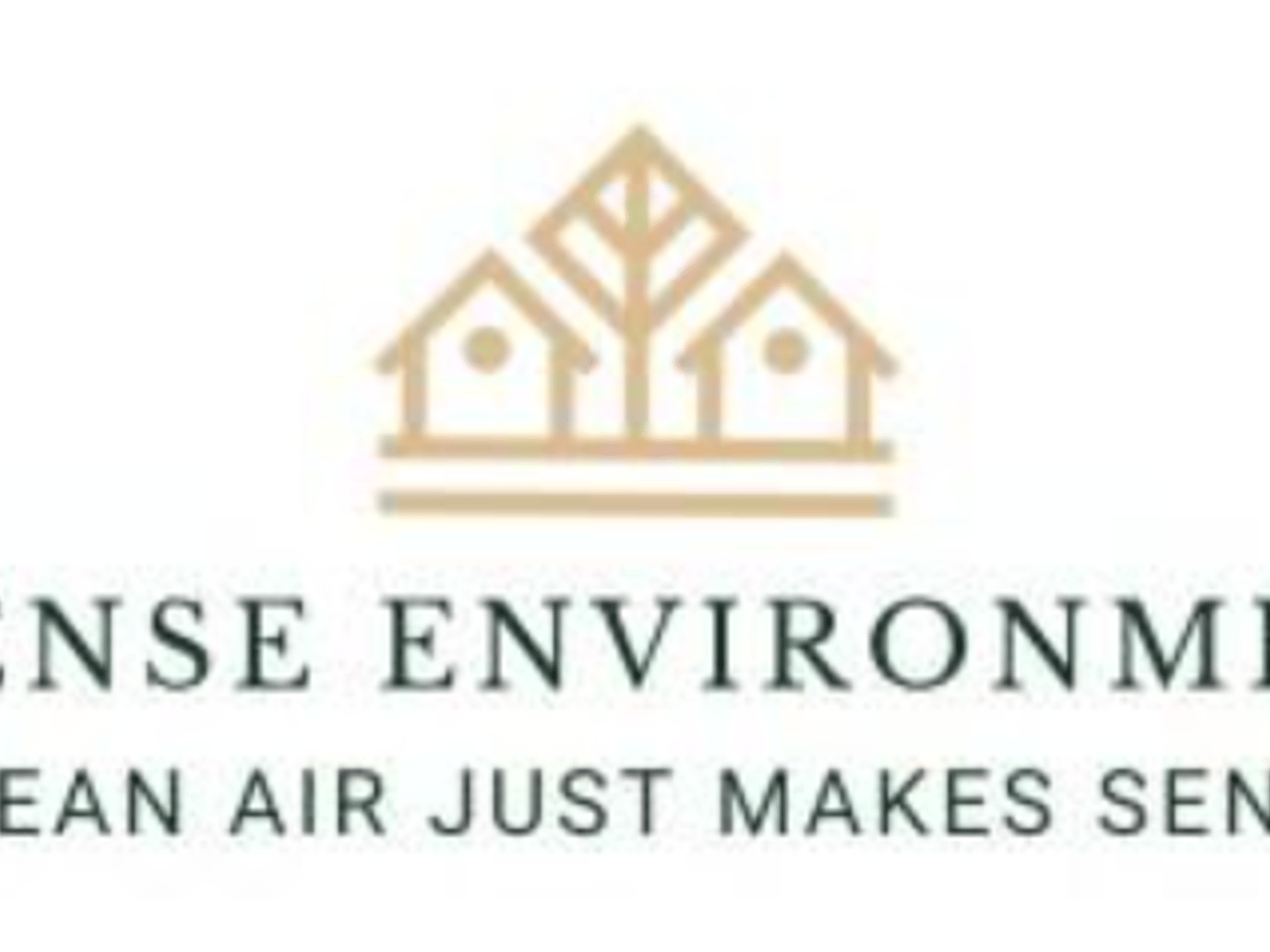 Air Sense Environmental- Radon Mitigation & Testing