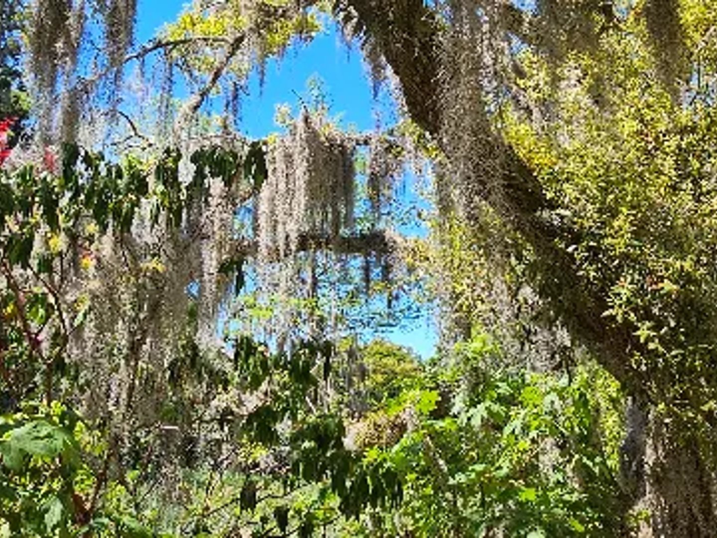 Natalie Rakoci, REALTOR l C21 The Harrelson Group | C21 Vanguard