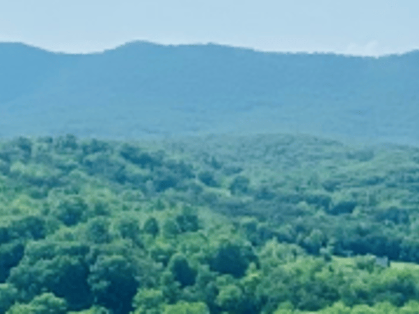 Guild Mortgage - Liz Graham