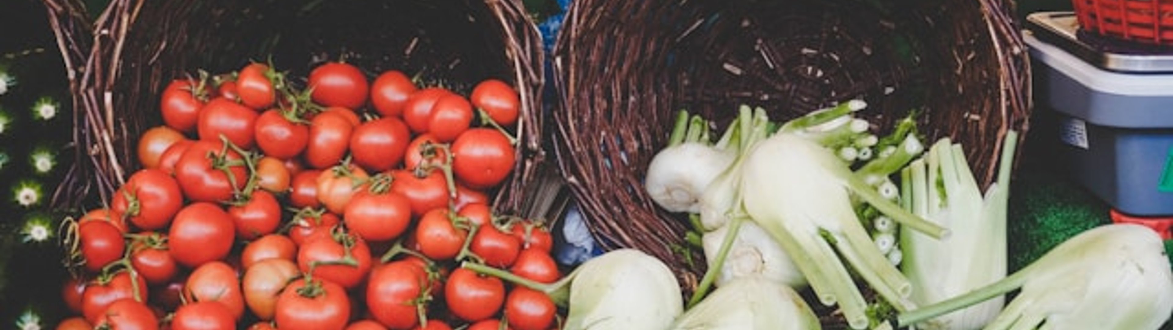 You may well also provide these valuable  Supermarket…..which we have optimised as well