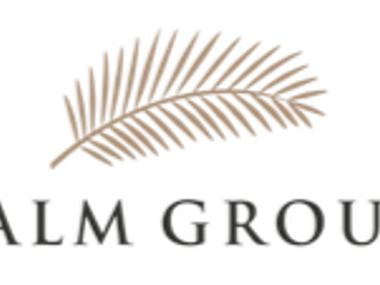 Palm Group - KIMBERLY FALKER