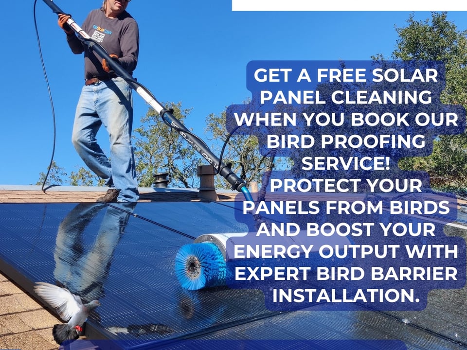 Pristine Clean featured image