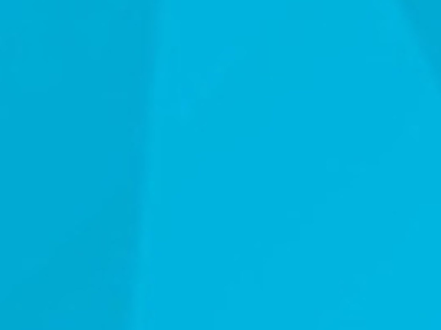 Guild Mortgage - Georgea Lipinski