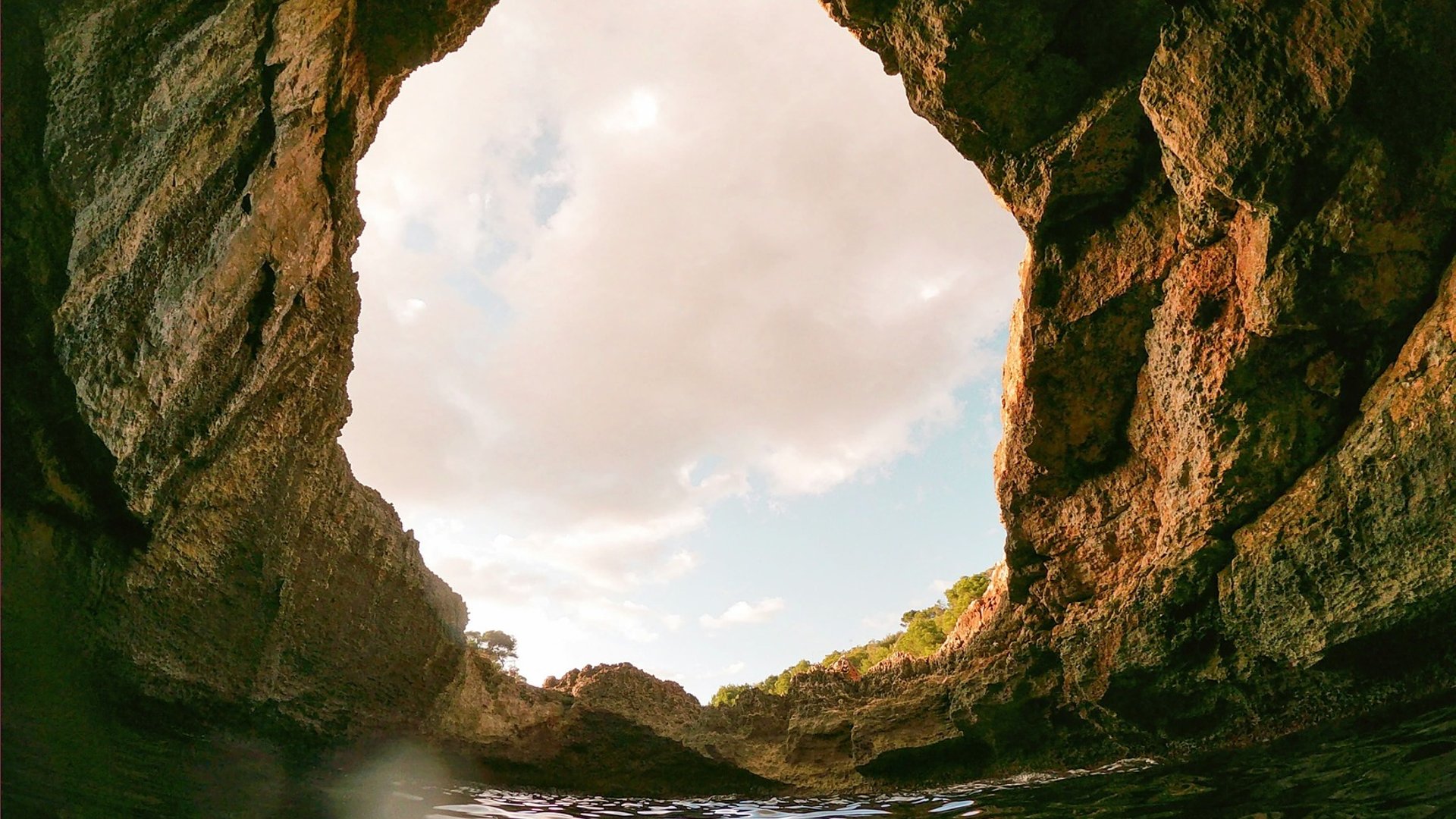 Search Articles featured image