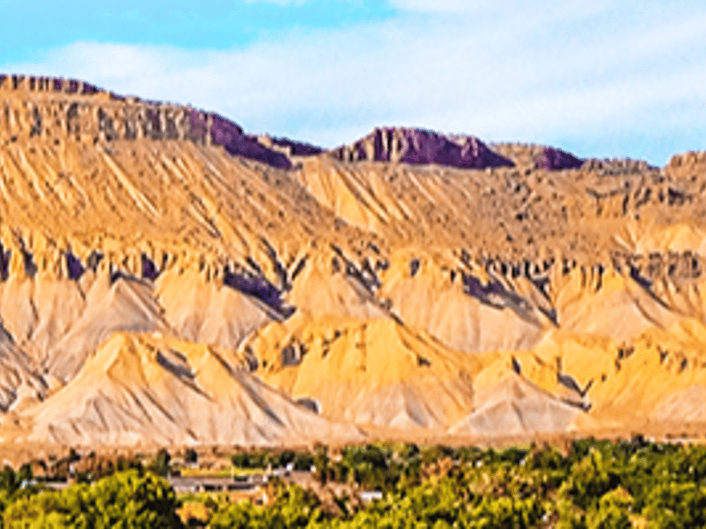 Guild Mortgage - Megan Kalb