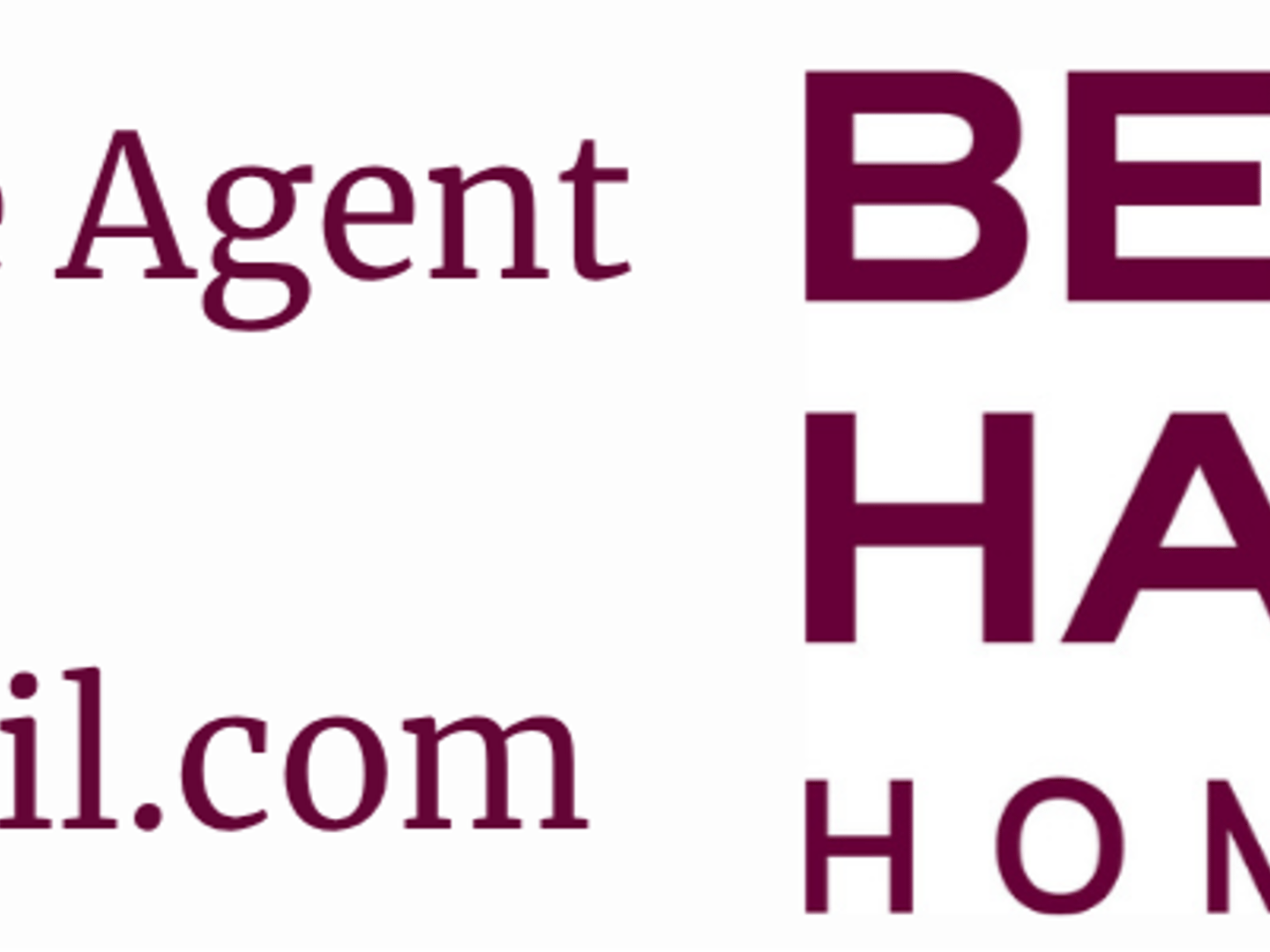 Melissa Kamar-Real Estate Agent