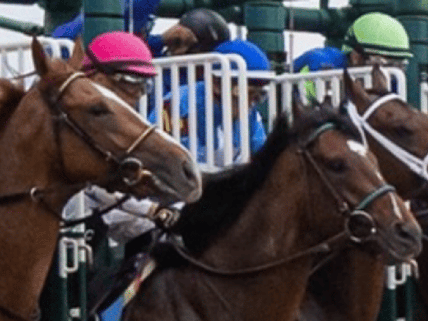 Rector Hayden Realtors - Daniel and Denise Delaney