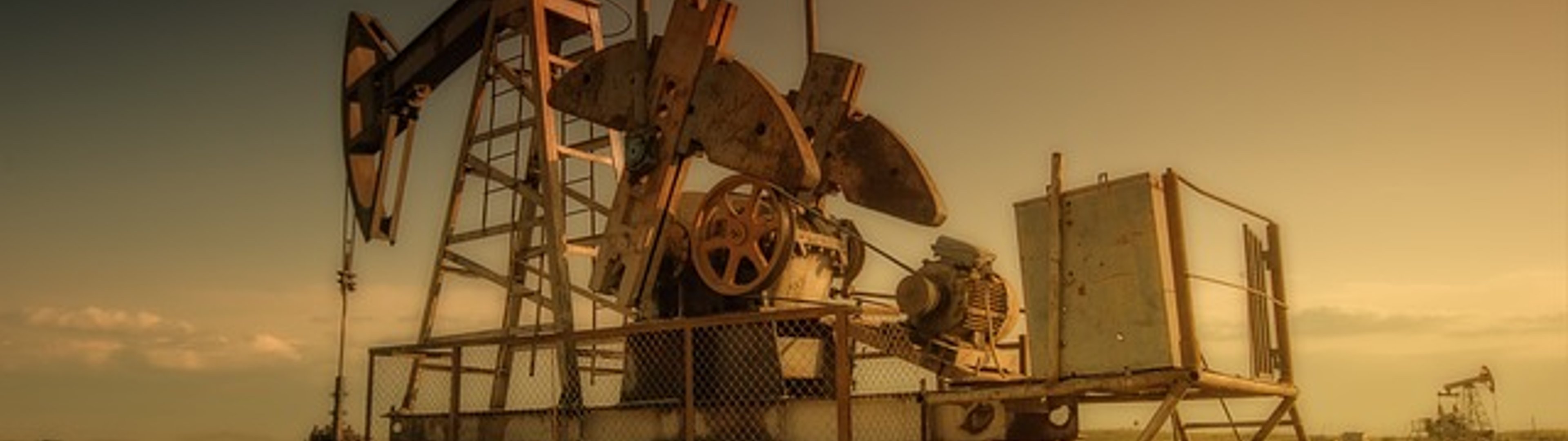 Make all the visitors to this site your own