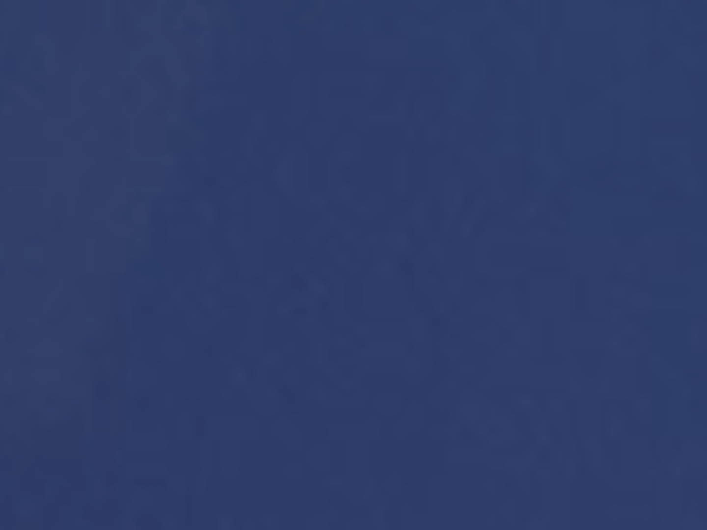 The Yi Team - John Walowac