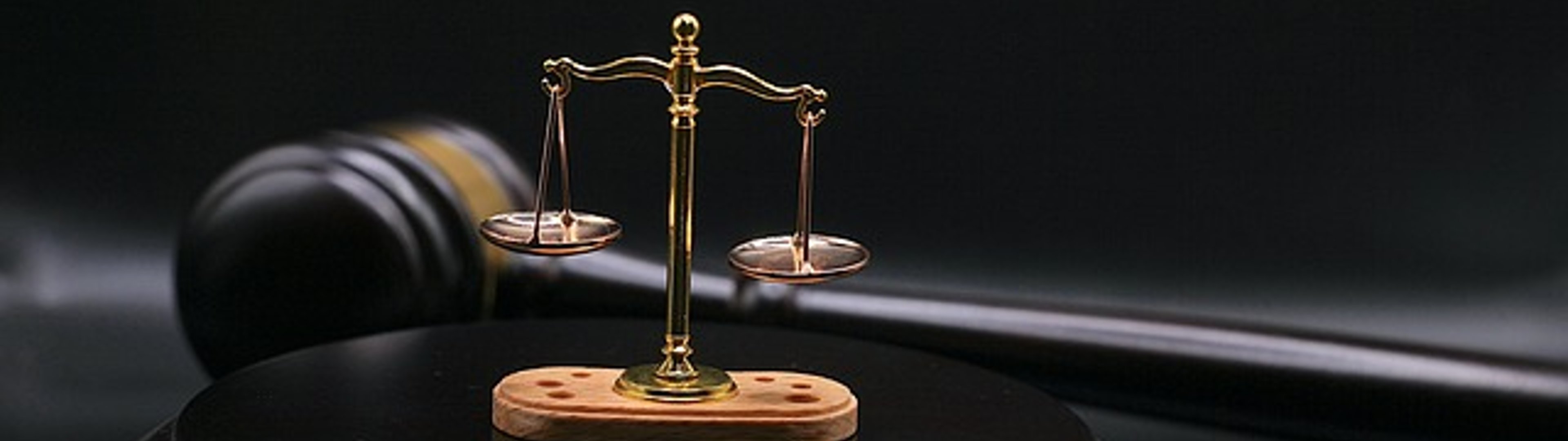 Make all the visitors to this site your own