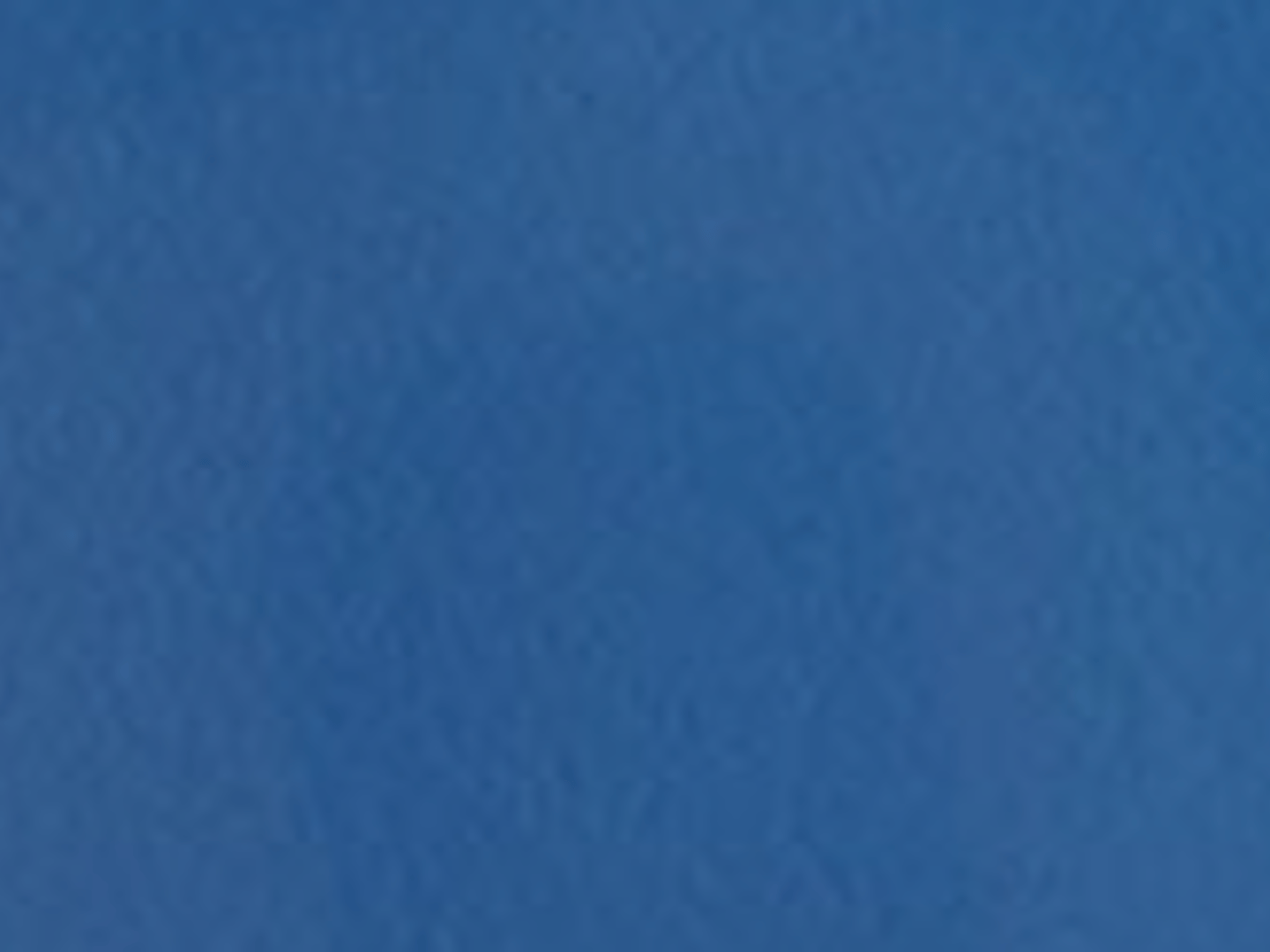 The Agency  - Gina Martino