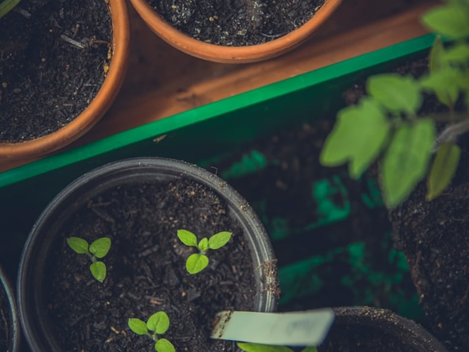 You can see we understand quite a bit about what health food shop do