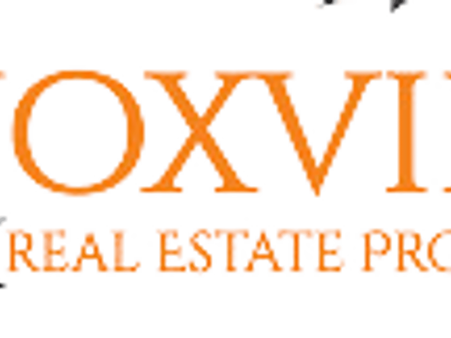 Marcia Inklebarger - Knoxville Real Estate Professionals