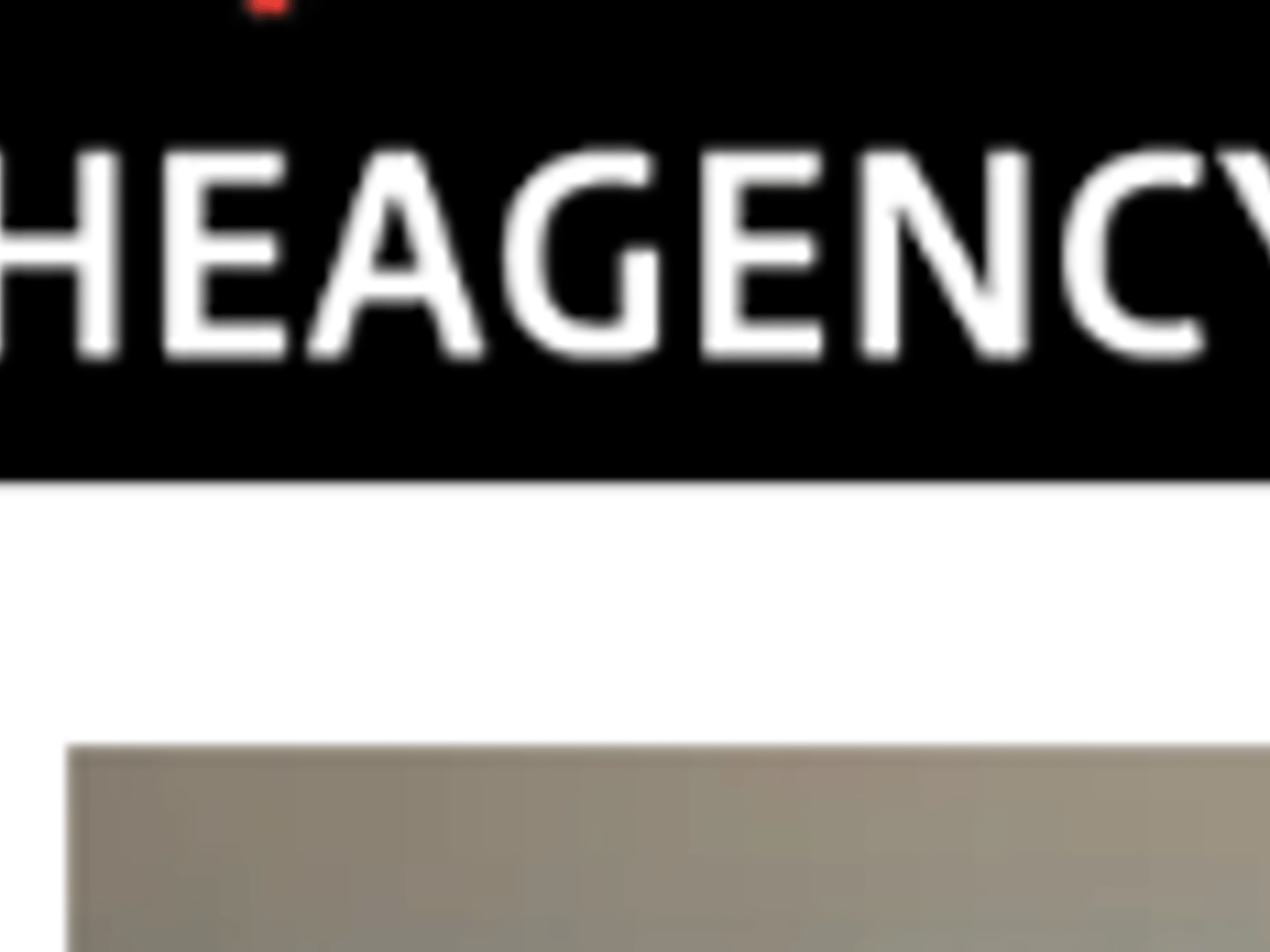 The Agency  - Gina Martino