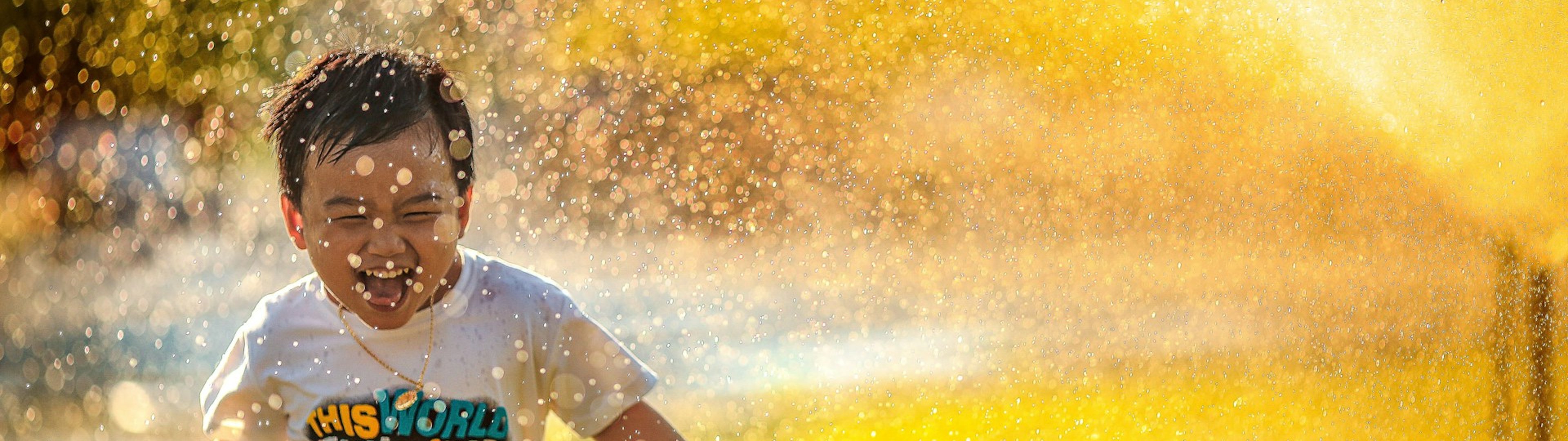 Make all the visitors to this site your own