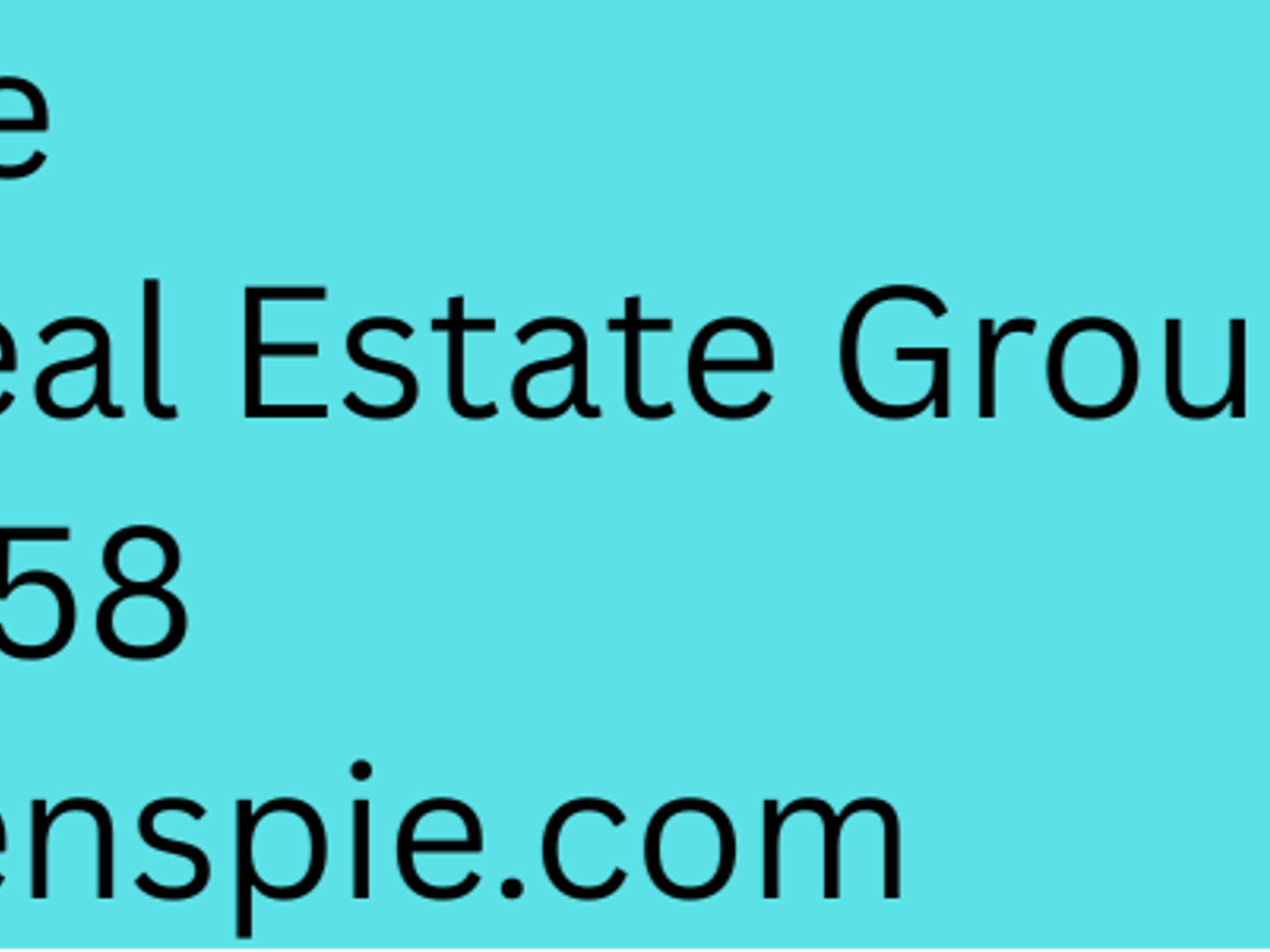 Becky Roenspie-Broker-Roenspie + Johnson Real Estate Group