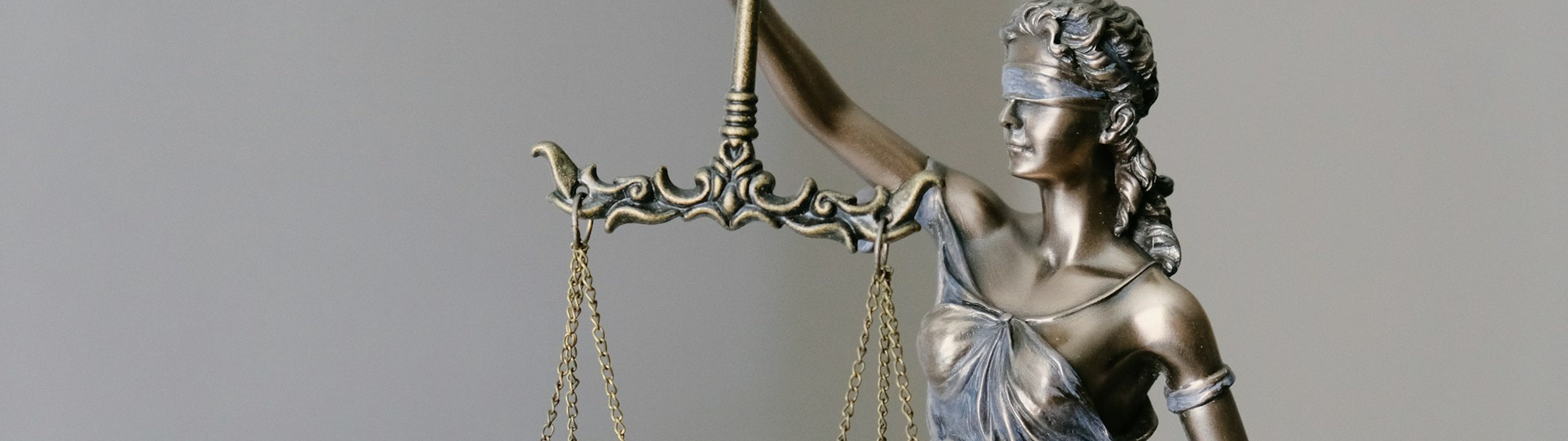 Make all the visitors to this site your own