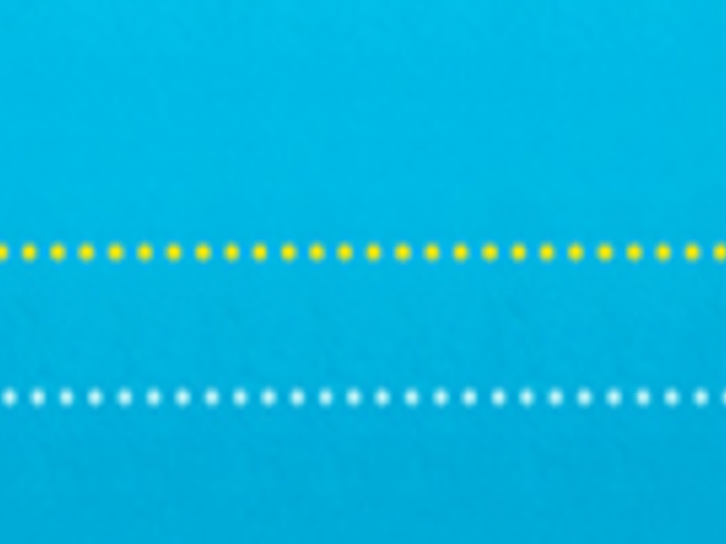 Guild Mortgage - Teri Adams