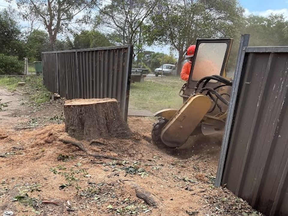 Ozmulch Tree Services featured image