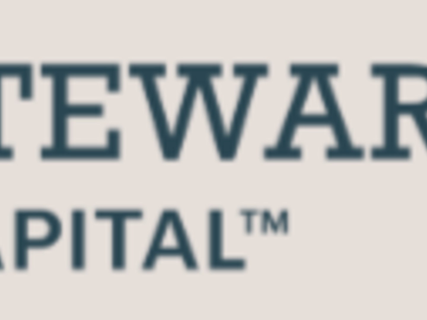 Stewardship Capital - Stephen Chakerian