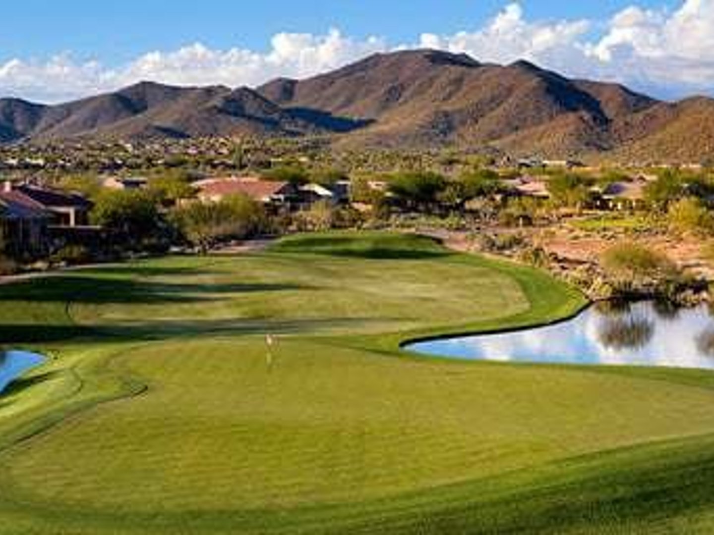 The Griffin, Real Estate - Grant Van Dyke