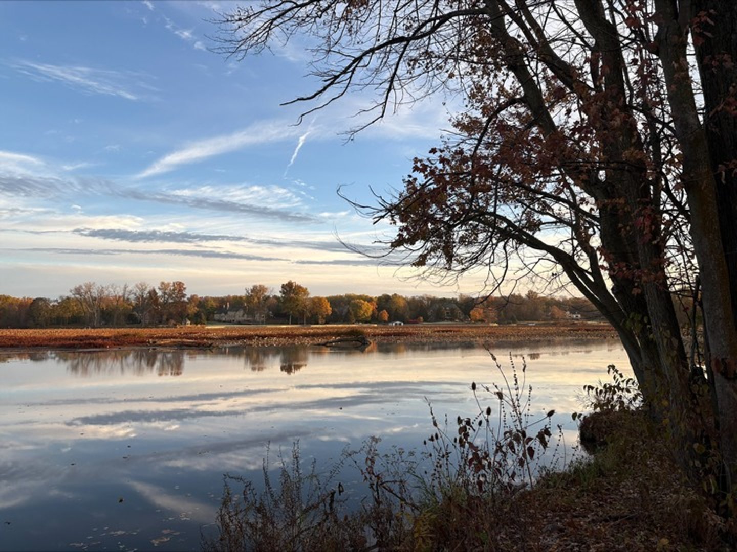 Clint Wilson - State Farm Insurance Agent