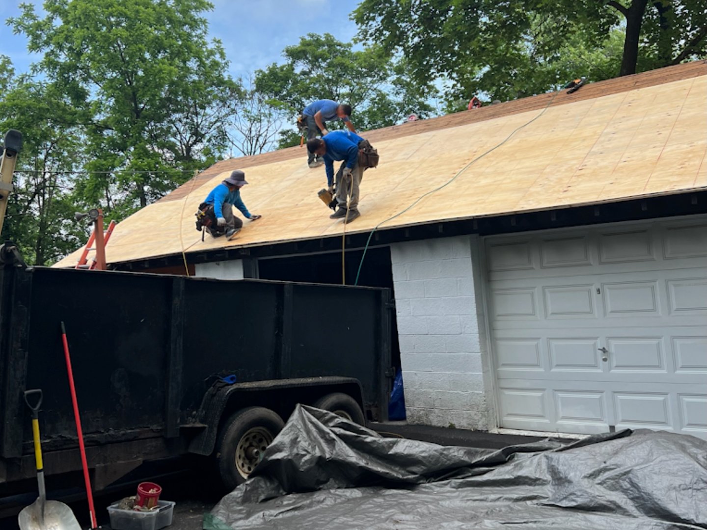 Proximity Nova gallery image