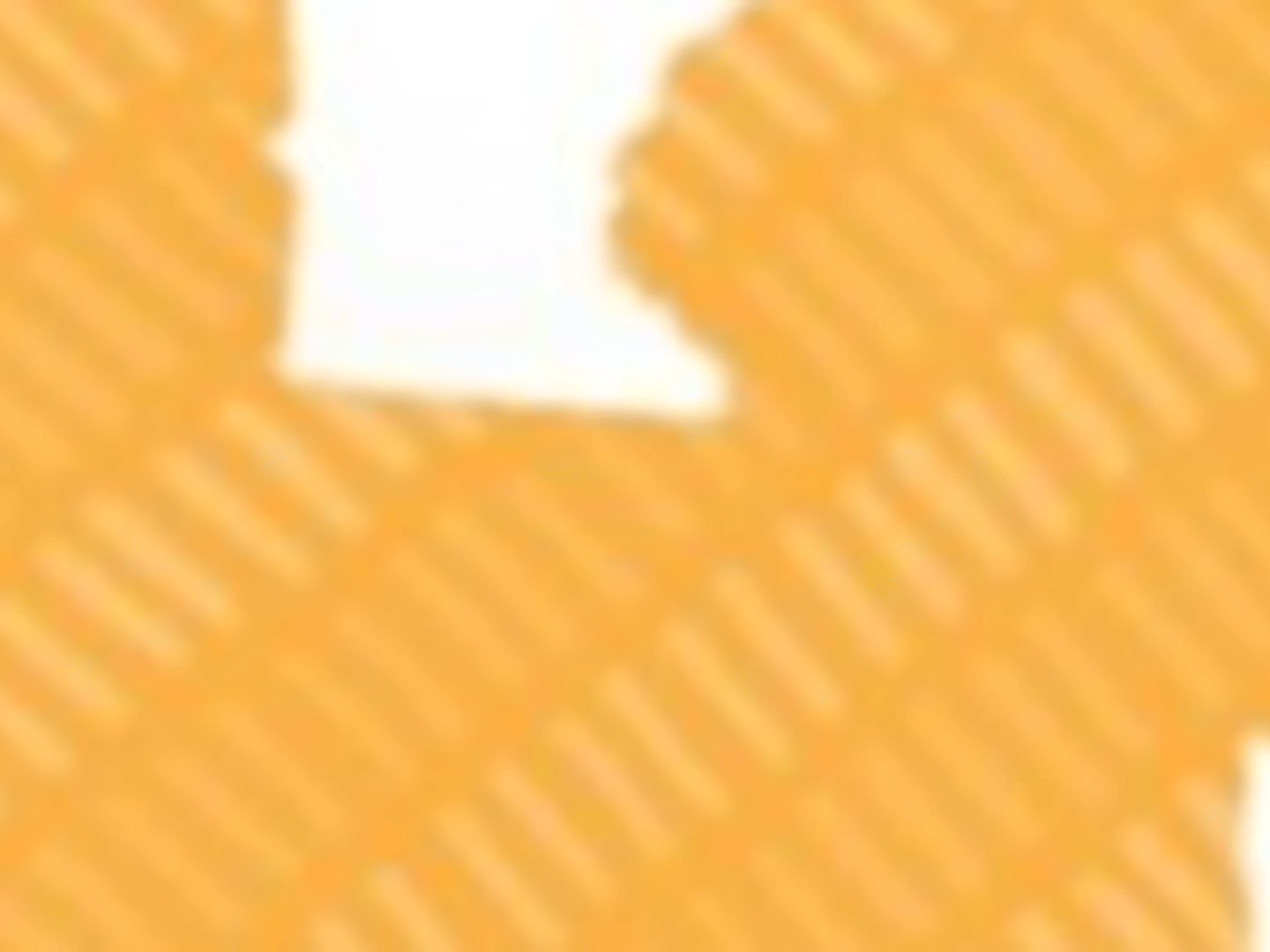 Guild Mortgage - Tyler Peters