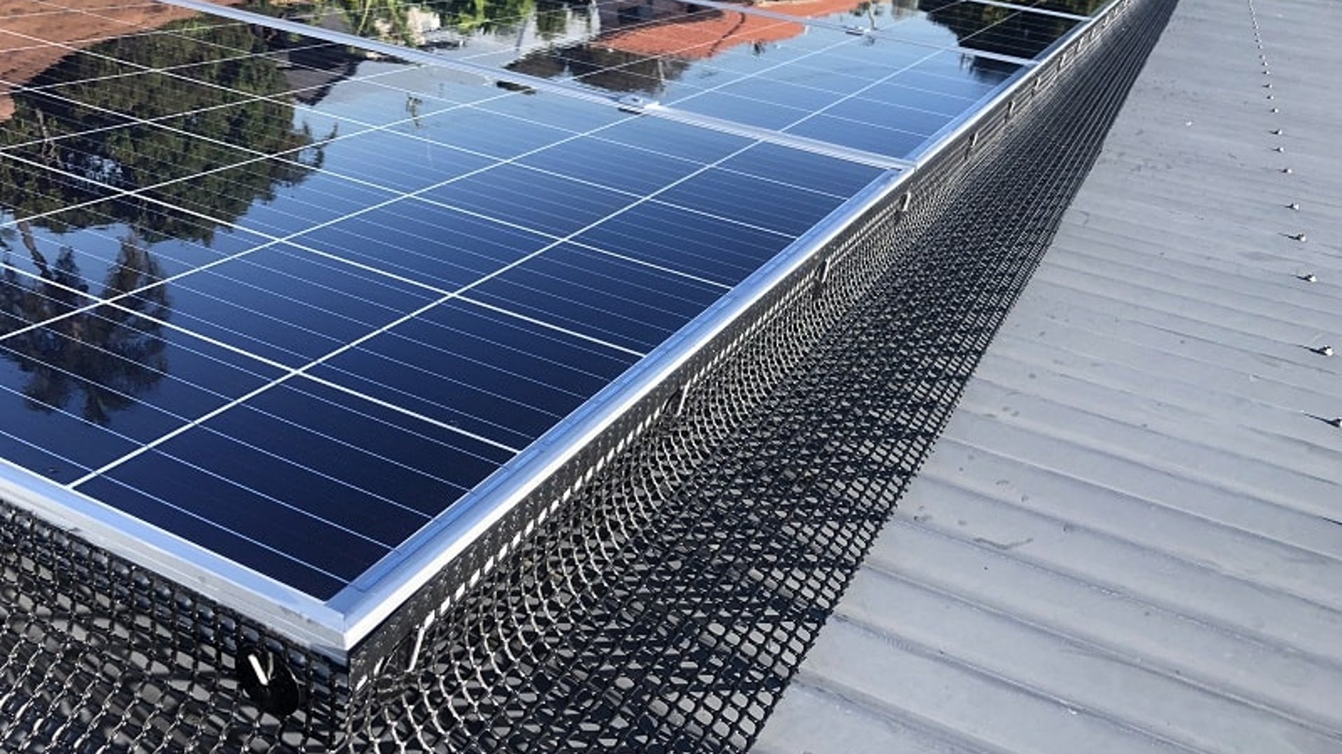 Harris Solar Panel Cleaning and Bird Proofing hero image