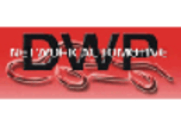 DWP NETWORK AUTOMOTIVE logo