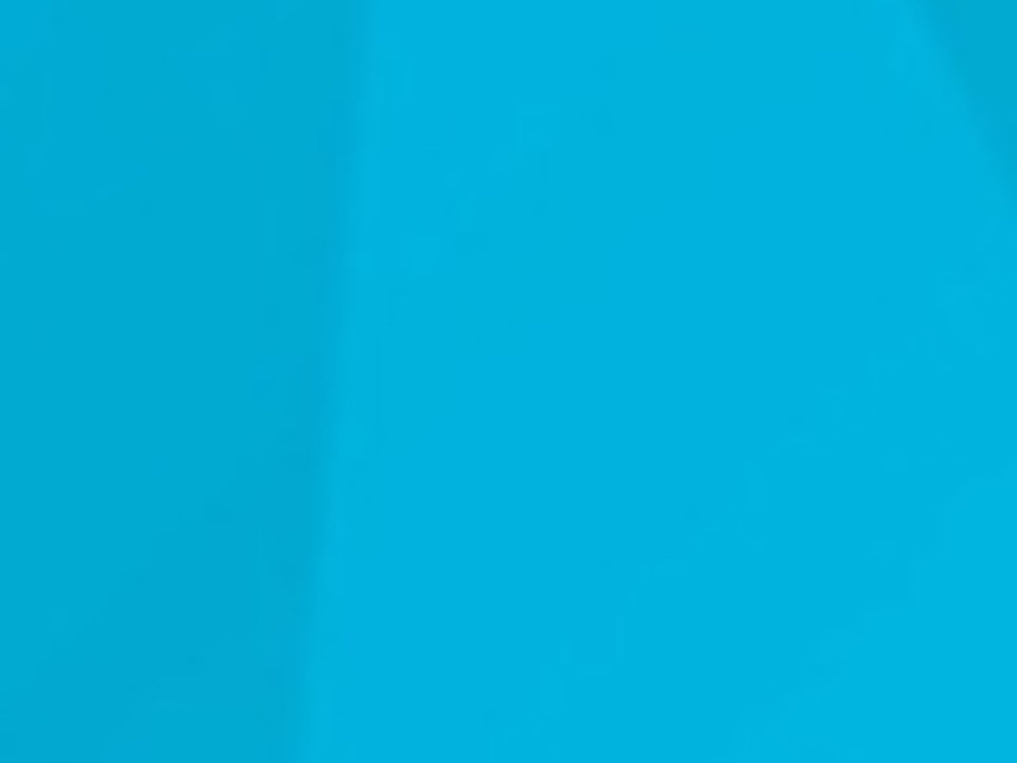 Guild Mortgage - Lin Gowan