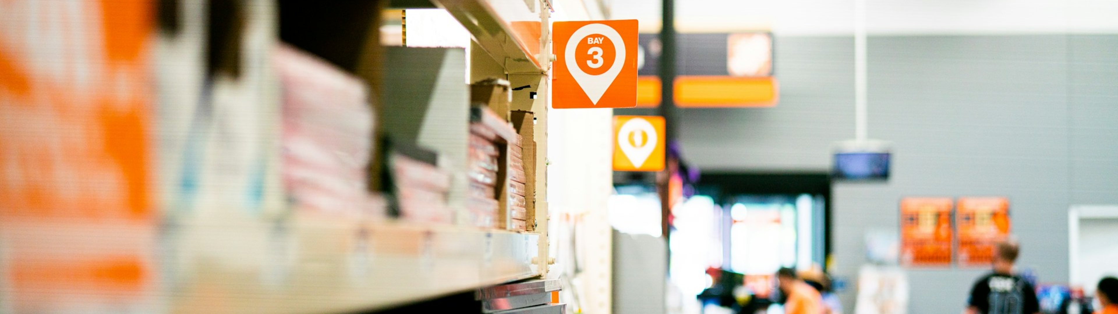 Make all the visitors to this site your own