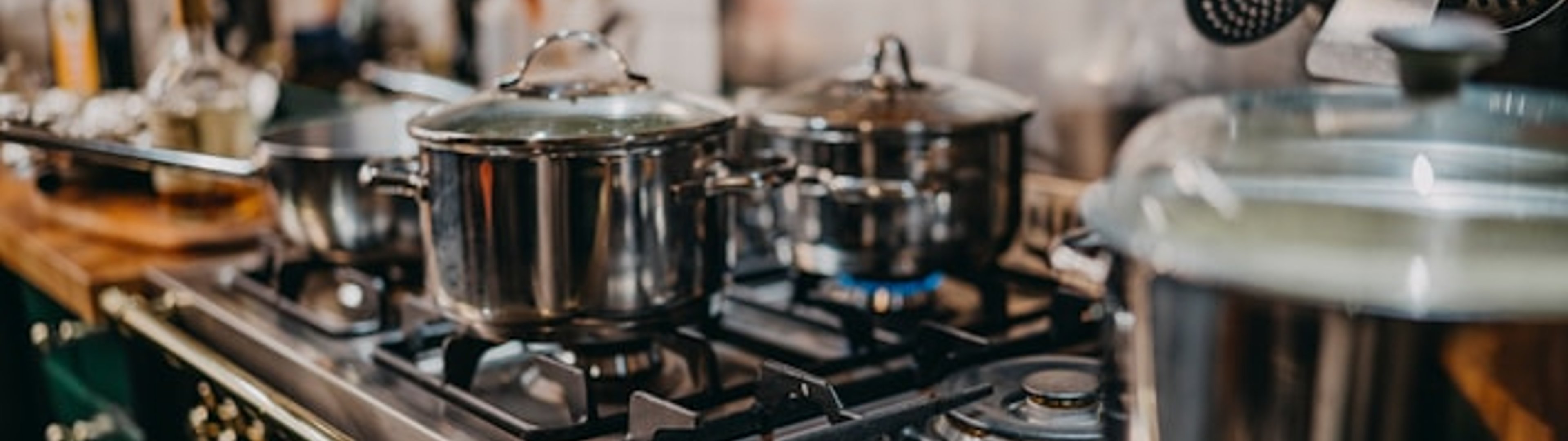 Make all the visitors to this site your own