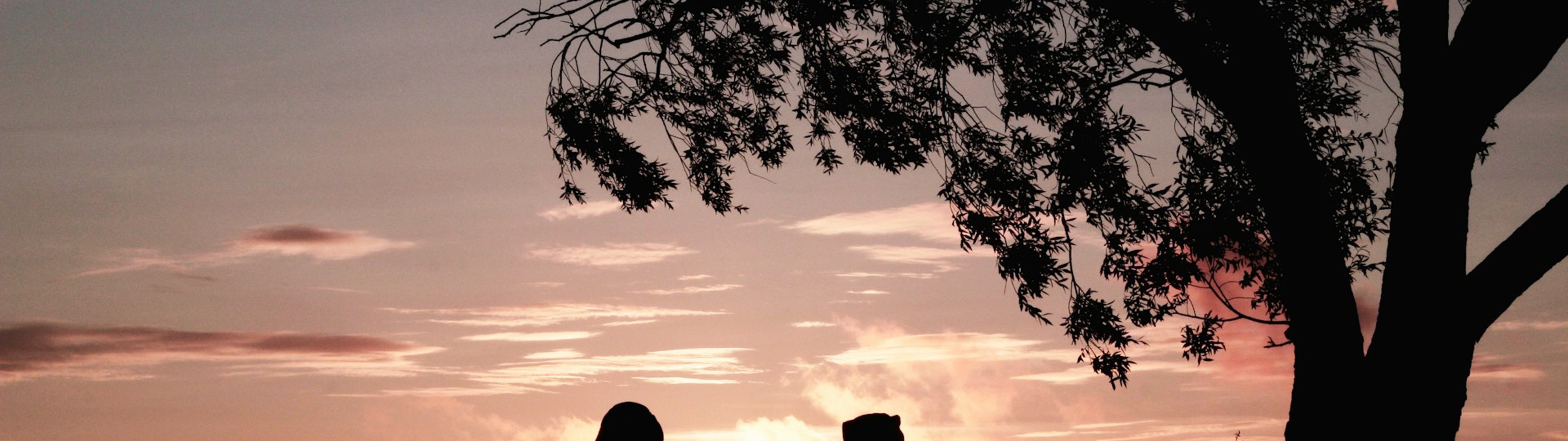 You may well also provide these valuable Retirement planning…..which we have optimised as well