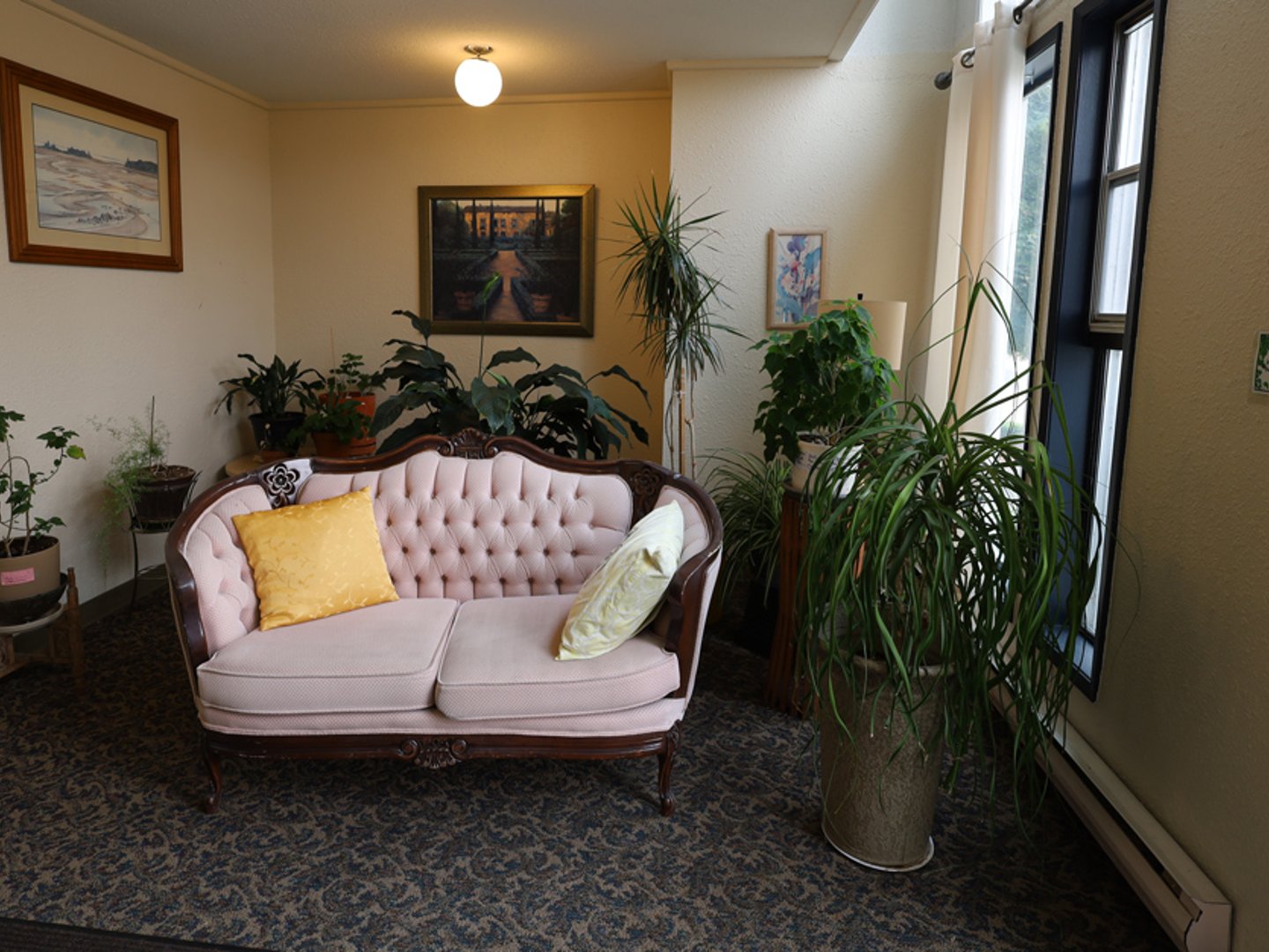 Proximity Nova review image