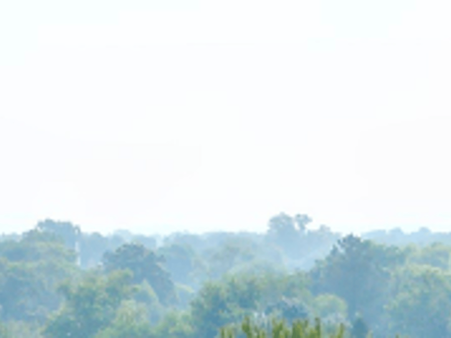 Rrok Koleci / HUD Listing Broker /RK Real Estate LLC.