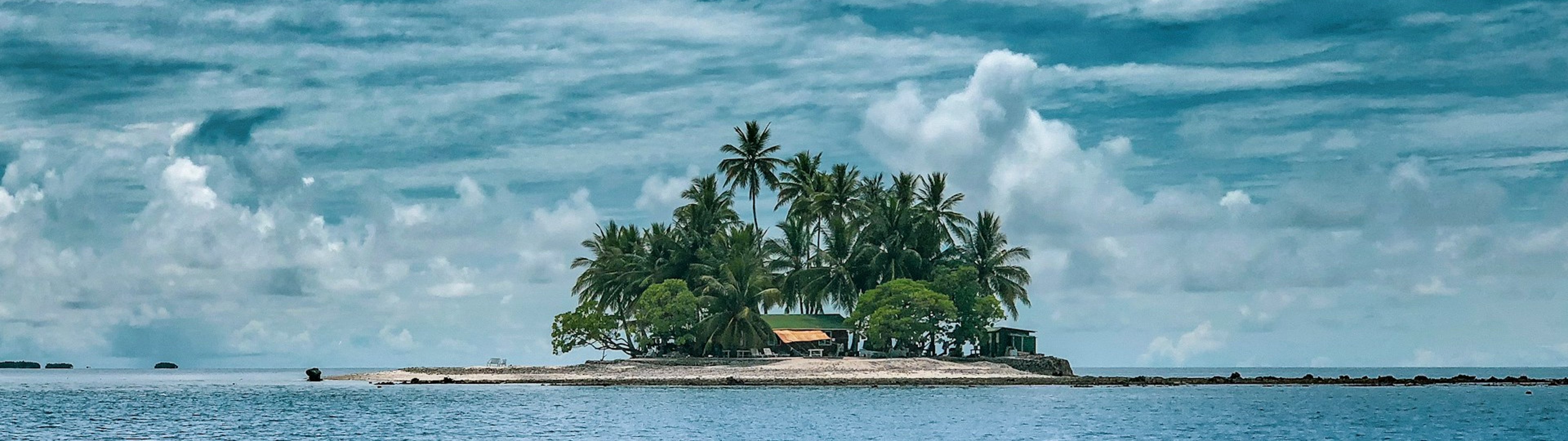 Make all the visitors to this site your own