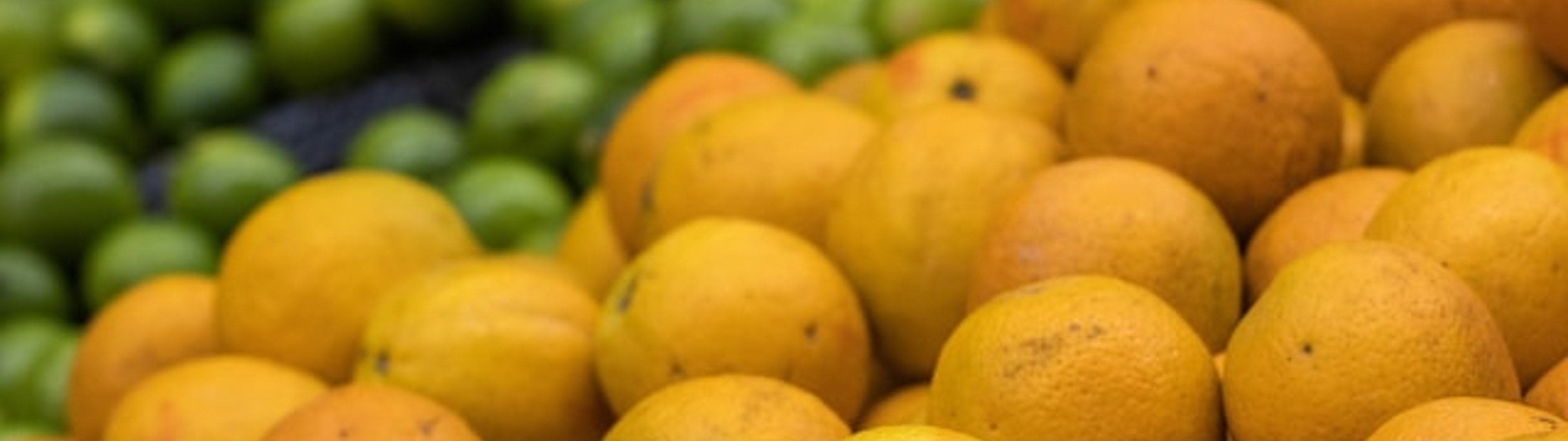 You may well also provide these valuable Fruit and vegetable store…..which we have optimised as well