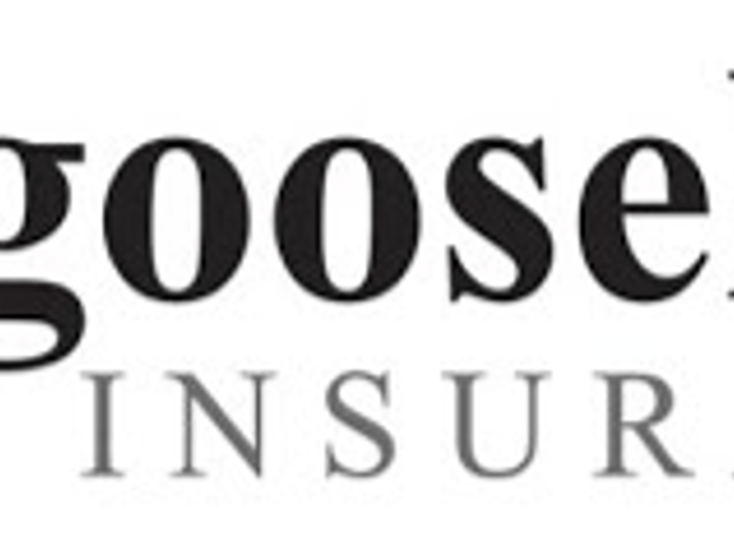 Goosehead Insurance Agency, LLC - Austin Moussa