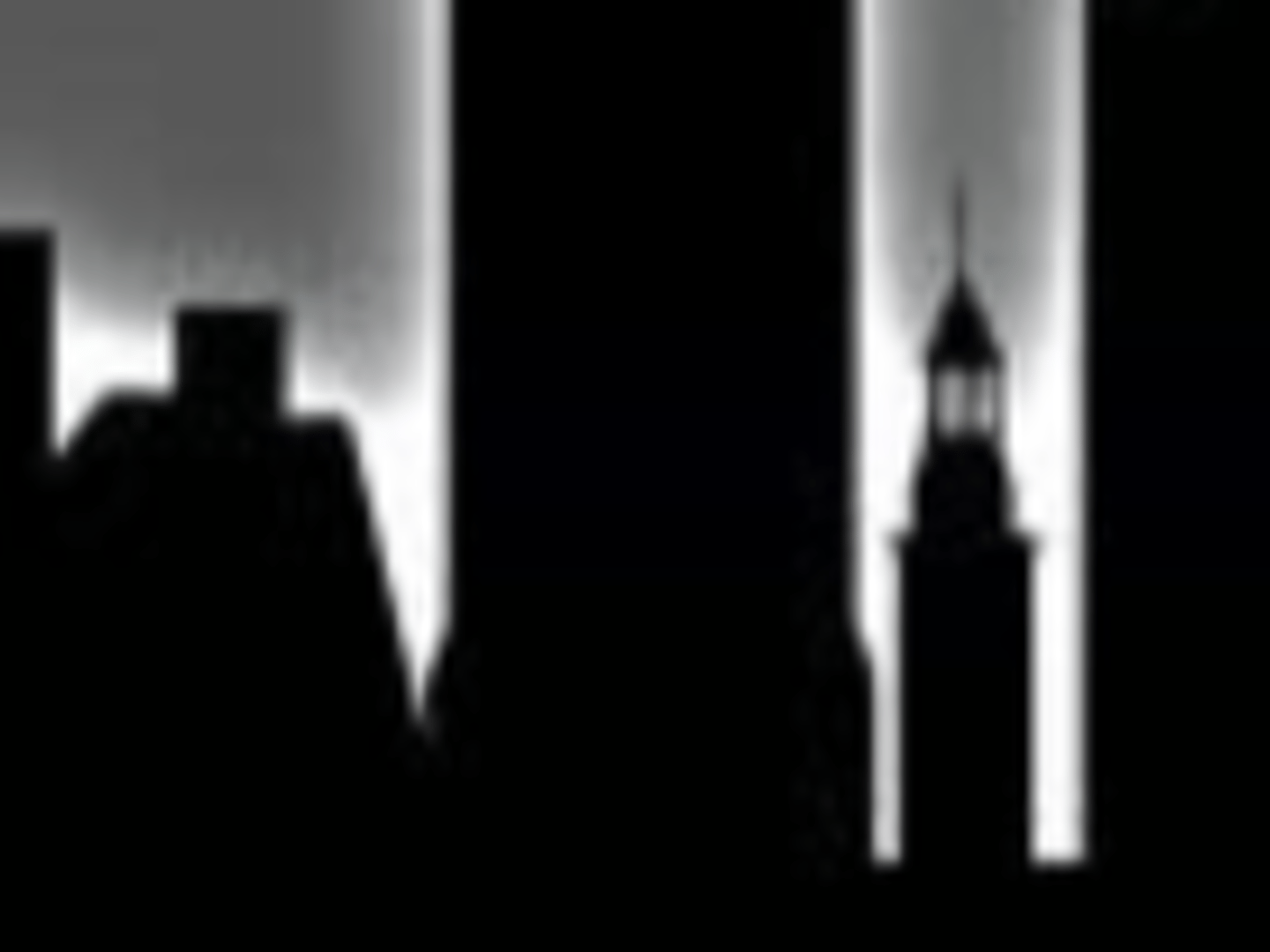 Stephen Weiler -REALTOR - REAL Broker