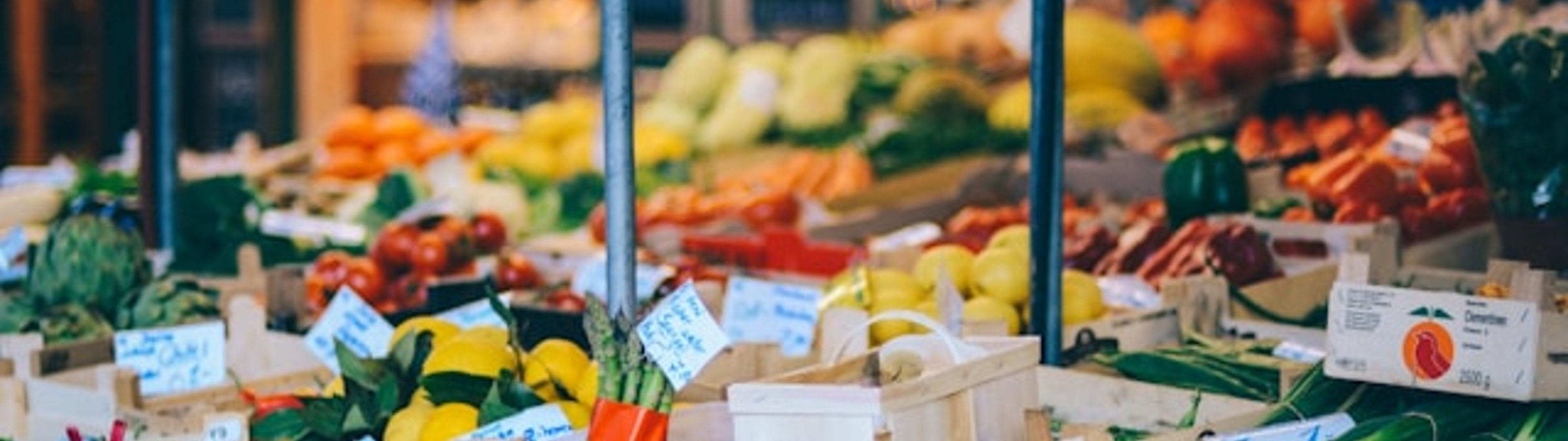 Make all the visitors to this site your own