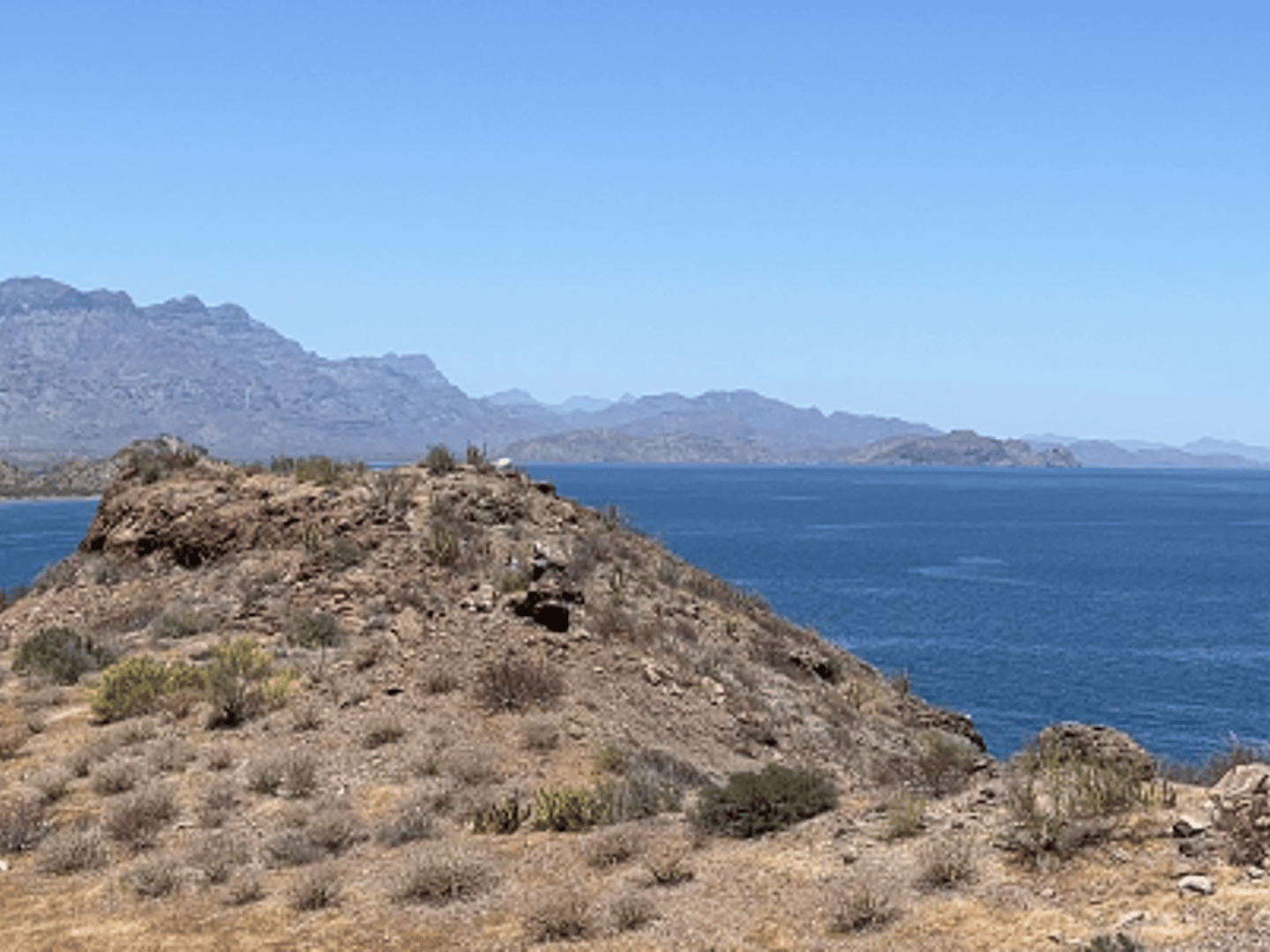 Guild Mortgage - Melissa Tippey