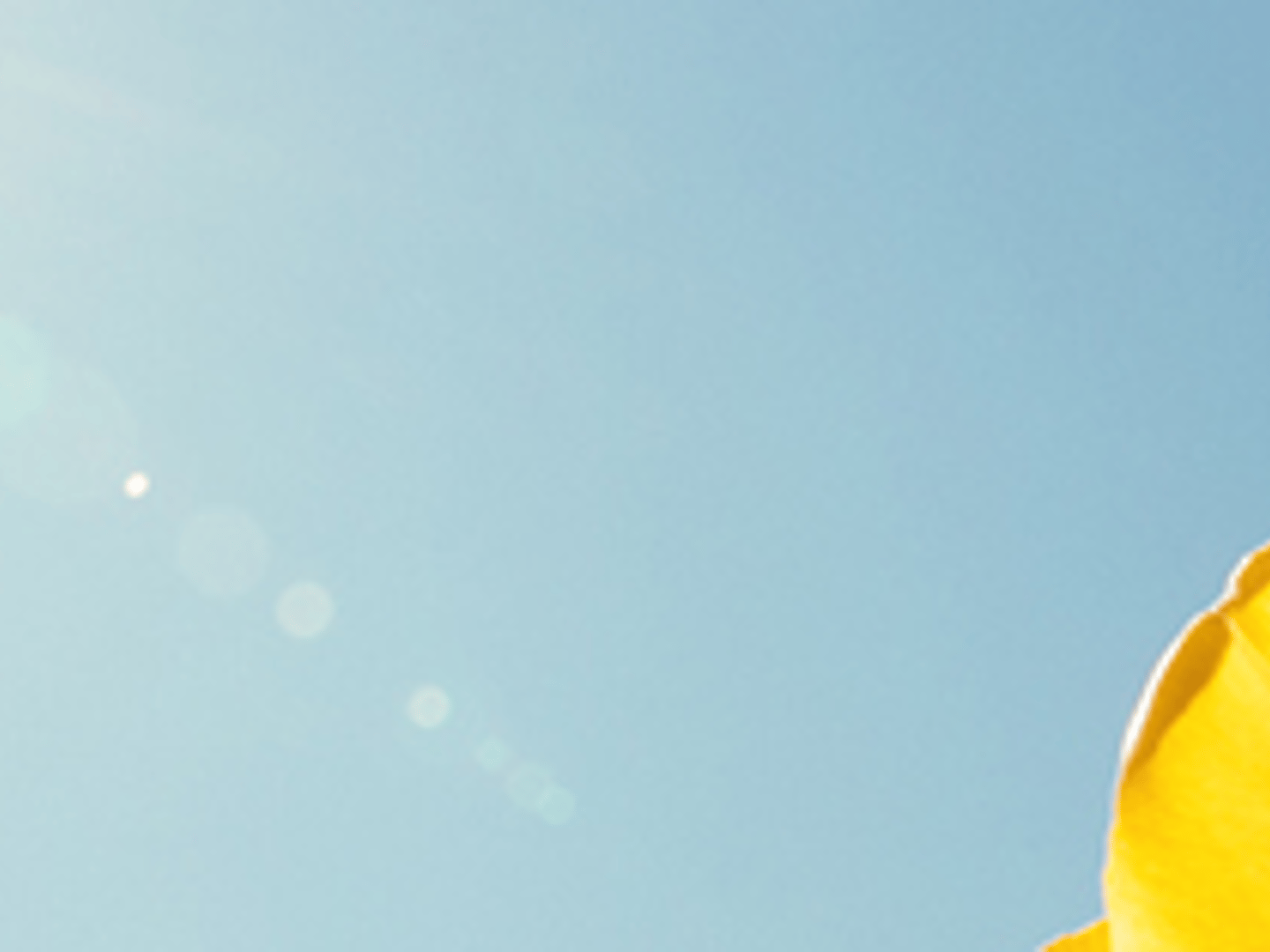 Guild Mortgage - Dani Hallam