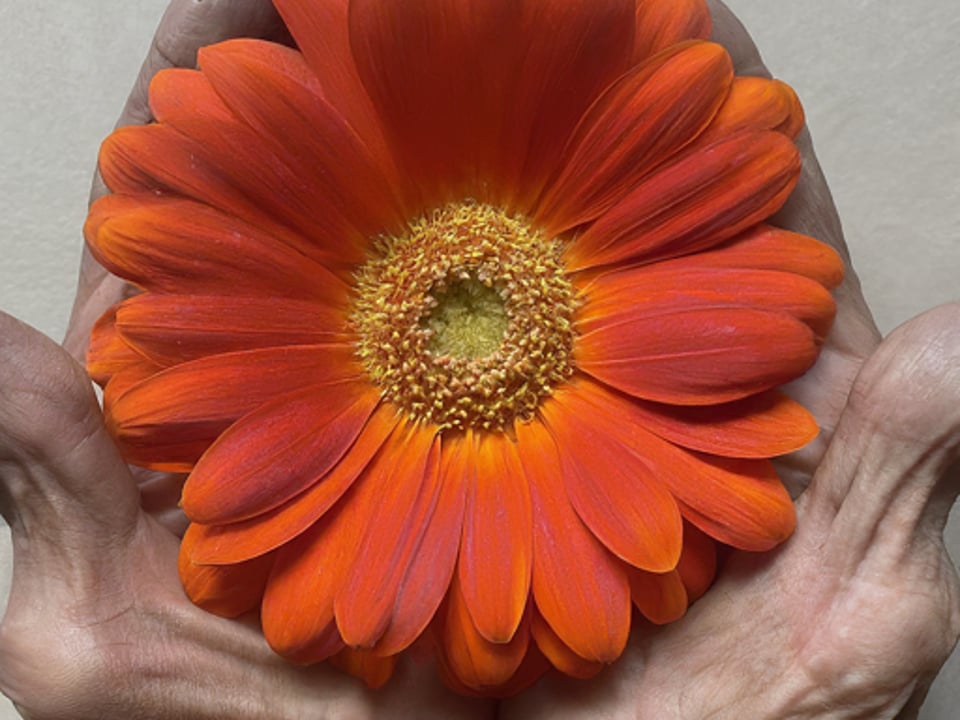 But we don’t offer Home health care service here. We do SEO.