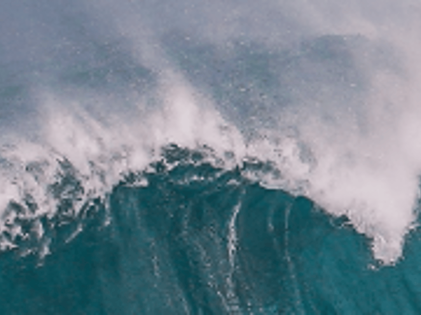 Coast Home Loans - Team Molina at Coast Home Loans